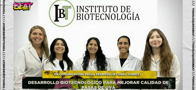 Desarrollan productos biotecnológicos para mejorar la calidad de las pasas de uva