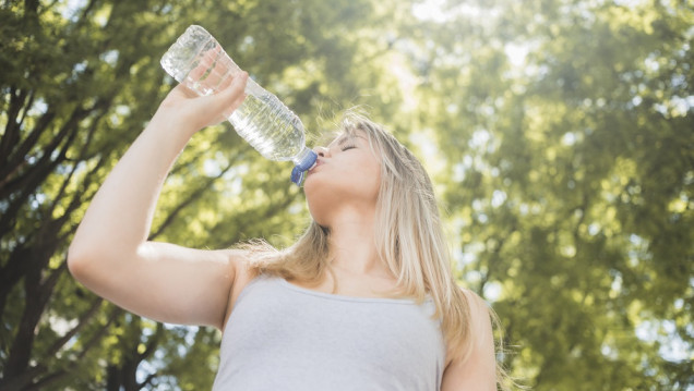 imagen El Niño provocará temperaturas más altas de lo normal hasta mayo