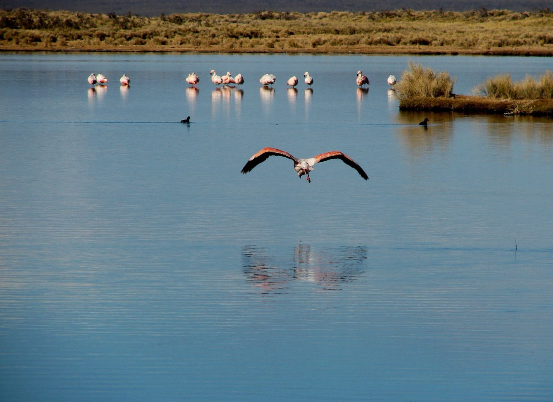 Los humedales, aliados contra el cambio climático, cubren el 20% del territorio argentino