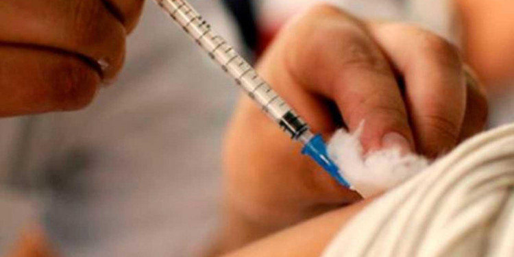 Ya se colocaron 202 mil dosis de la vacuna antigripal en Mendoza