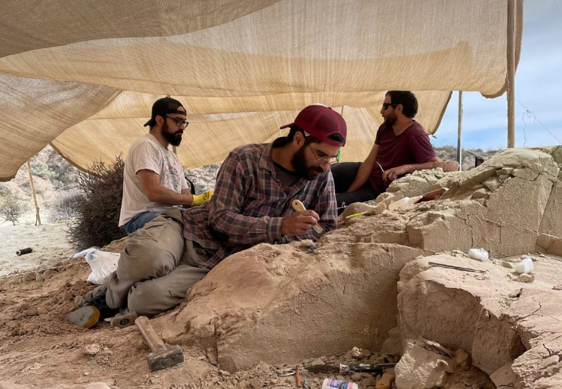 La ciencia y el Conicet vuelven a copar el streaming con "Expedición Cretácica"