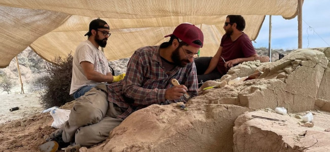 La ciencia y el Conicet vuelven a copar el streaming con "Expedición Cretácica"