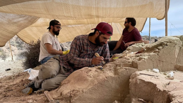 imagen La ciencia y el Conicet vuelven a copar el streaming con "Expedición Cretácica"
