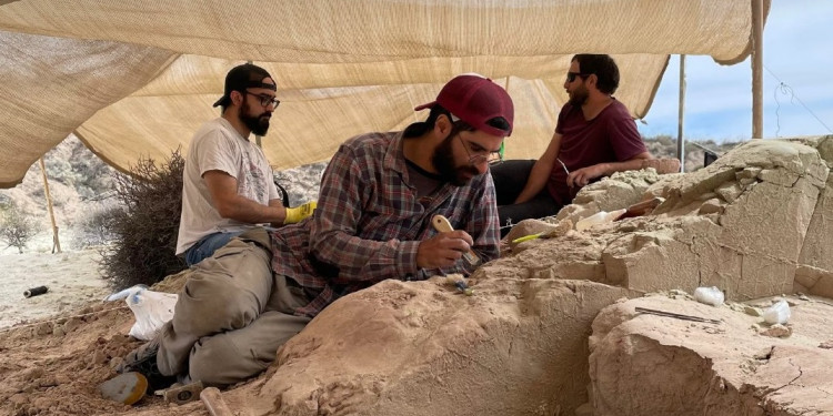 La ciencia y el Conicet vuelven a copar el streaming con "Expedición Cretácica"