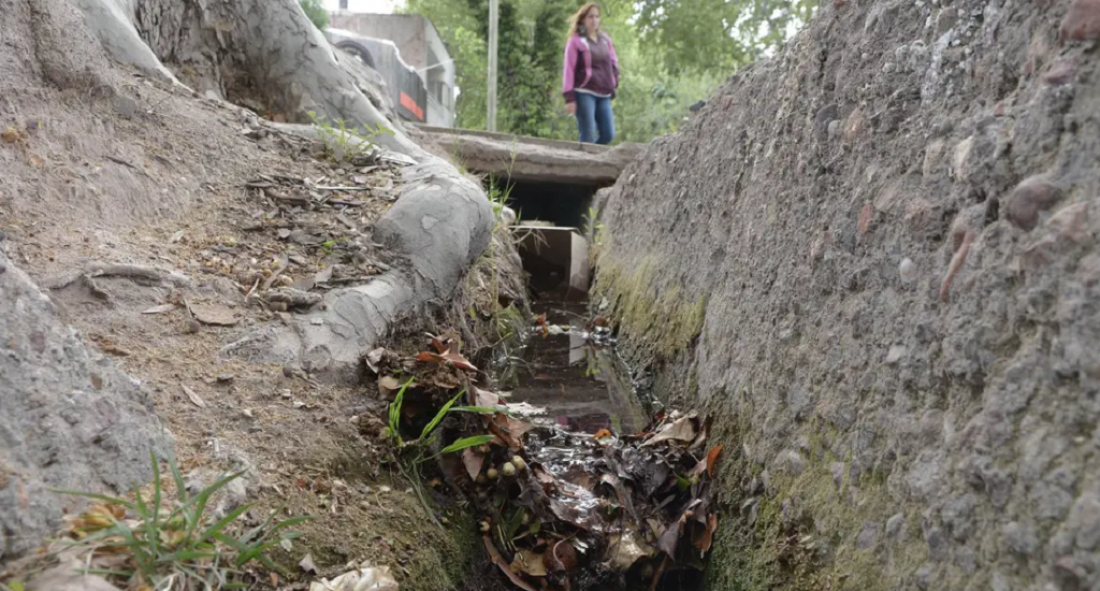 Obras, tecnología de riego y cultura, los cambios necesarios para salvar la tríada acequia-agua-arbolado