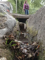 Obras, tecnología de riego y cultura, los cambios necesarios para salvar la tríada acequia-agua-arbolado