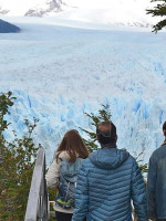 Greenpeace y otras organizaciones reclaman que no se modifiquen las leyes ambientales