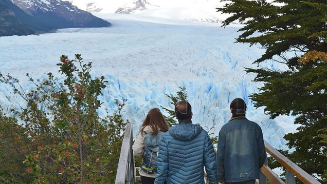 imagen Greenpeace y otras organizaciones reclaman que no se modifiquen las leyes ambientales