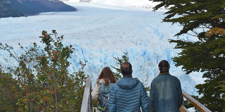 Greenpeace y otras organizaciones reclaman que no se modifiquen las leyes ambientales