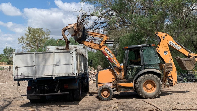 imagen El Ecoparque destina su primera carga de poda a generar biomasa