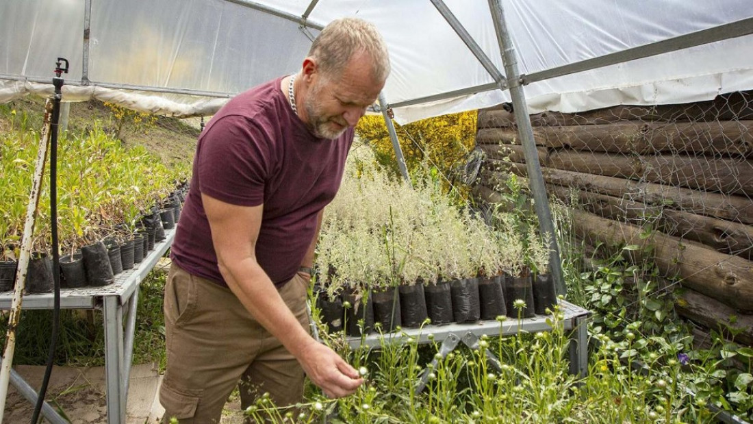 "Las especies de abejas se redujeron entre el 25 y el 30% en 40 años"