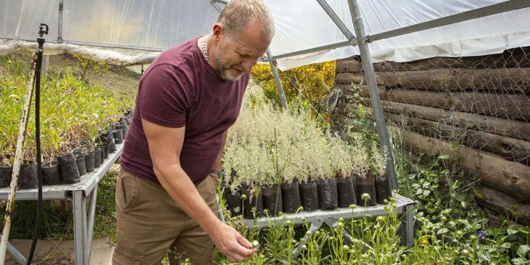 "Las especies de abejas se redujeron entre el 25 y el 30% en 40 años"