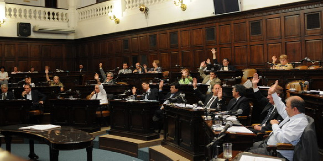 Presentaron un proyecto de ley de licencias para trabajadores estatales víctimas de violencia de género