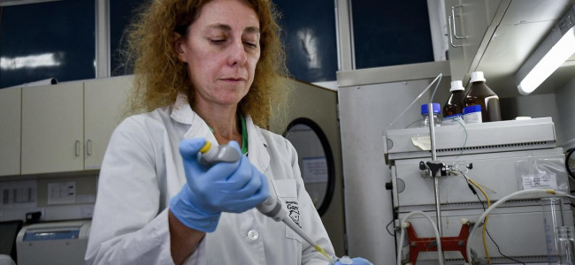 Desarrollaron un modelo pionero en el mundo para tratar el cáncer de ojo infantil