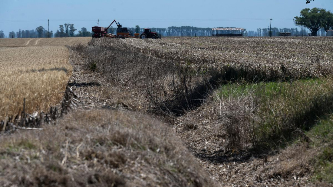 La Niña podría regresar en la segunda mitad del año