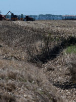 La Niña podría regresar en la segunda mitad del año