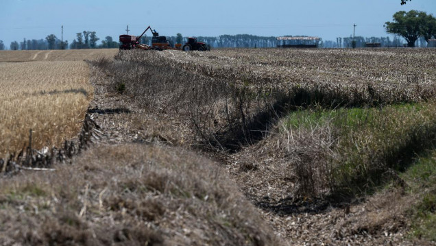 imagen La Niña podría regresar en la segunda mitad del año