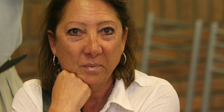  "Lo que buscan es no tratar el proyecto"