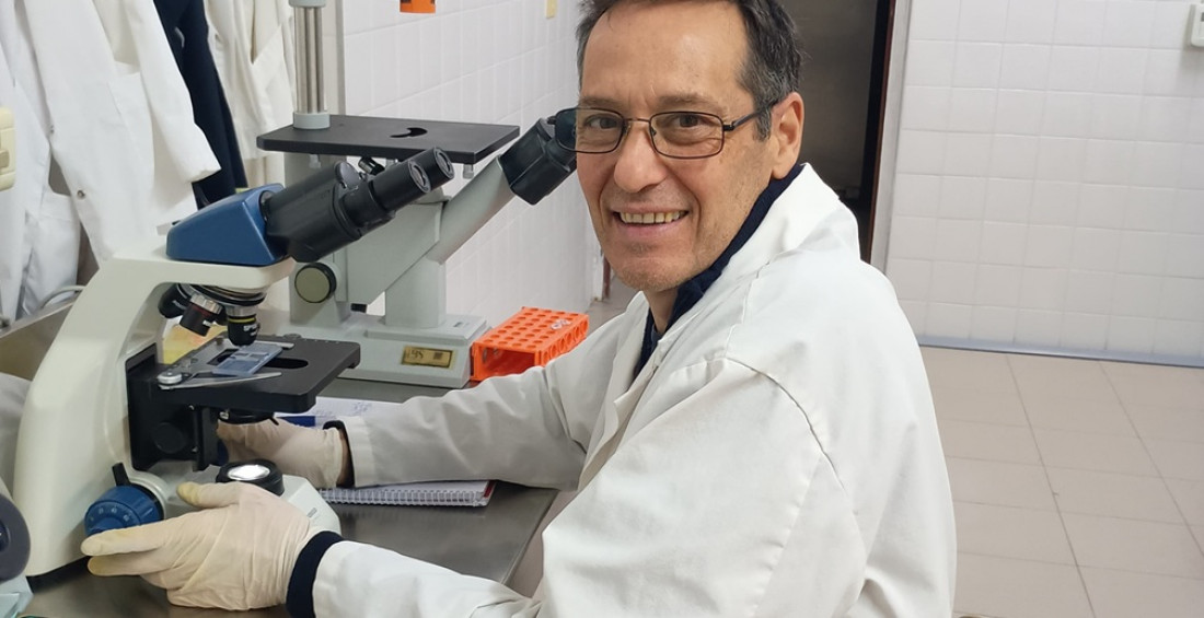 Pájaro bobo: la planta autóctona de Mendoza que abre un camino en la lucha contra el cáncer