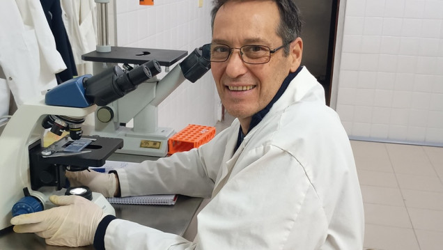 imagen Pájaro bobo: la planta autóctona de Mendoza que abre un camino en la lucha contra el cáncer