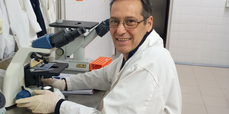 Pájaro bobo: la planta autóctona de Mendoza que abre un camino en la lucha contra el cáncer