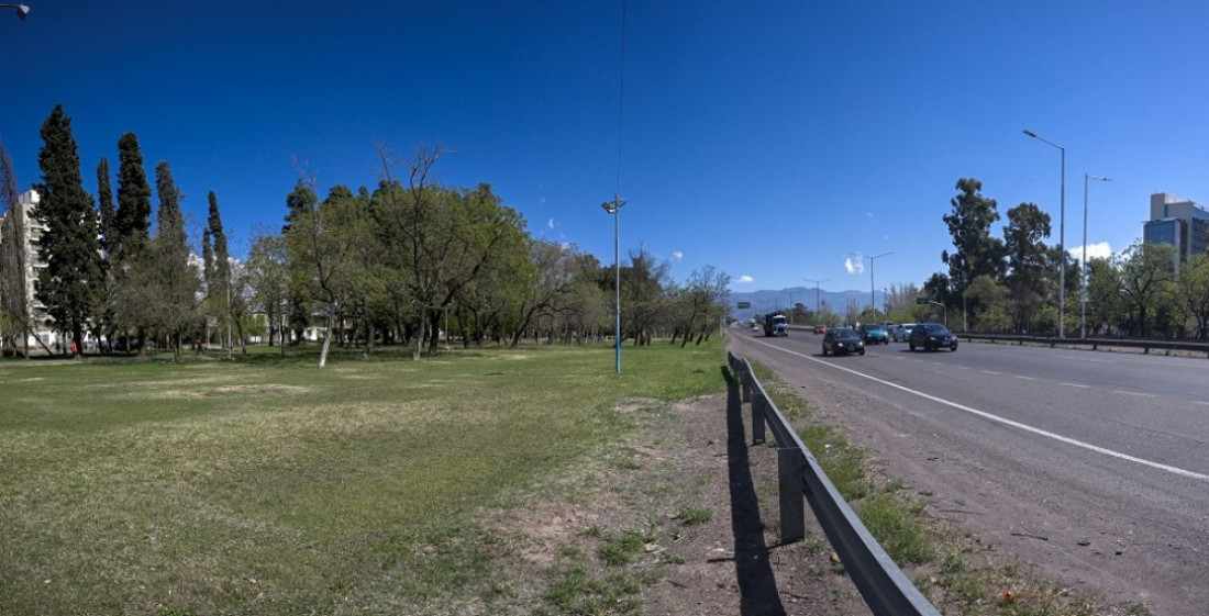 El arbolado público reduce hasta 17 decibeles la contaminación sonora en Mendoza