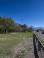 El arbolado público reduce hasta 17 decibeles la contaminación sonora en Mendoza
