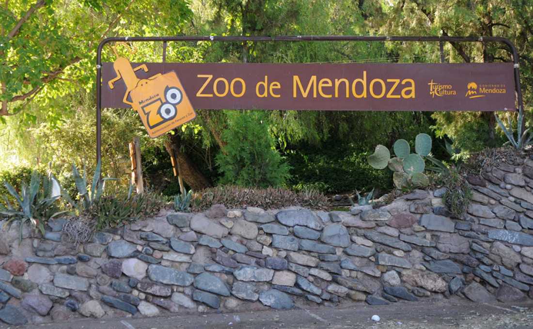 Dos proyectos para intentar cambiar el zoo