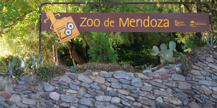 Dos proyectos para intentar cambiar el zoo