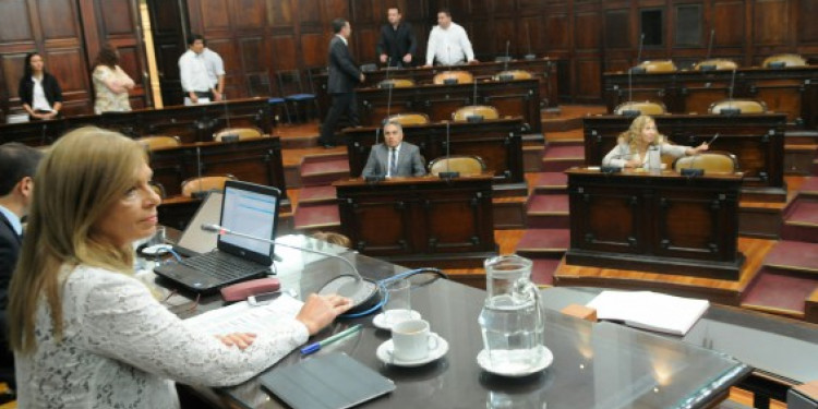  Emergencia sanitaria y leyes presupuestarias arrancan el debate Legislativo