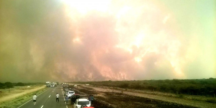 Ya se quemaron 400 mil hectáreas en el país