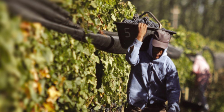 Se dictó la conciliación obligatoria en el conflicto de los trabajadores vitivinícolas