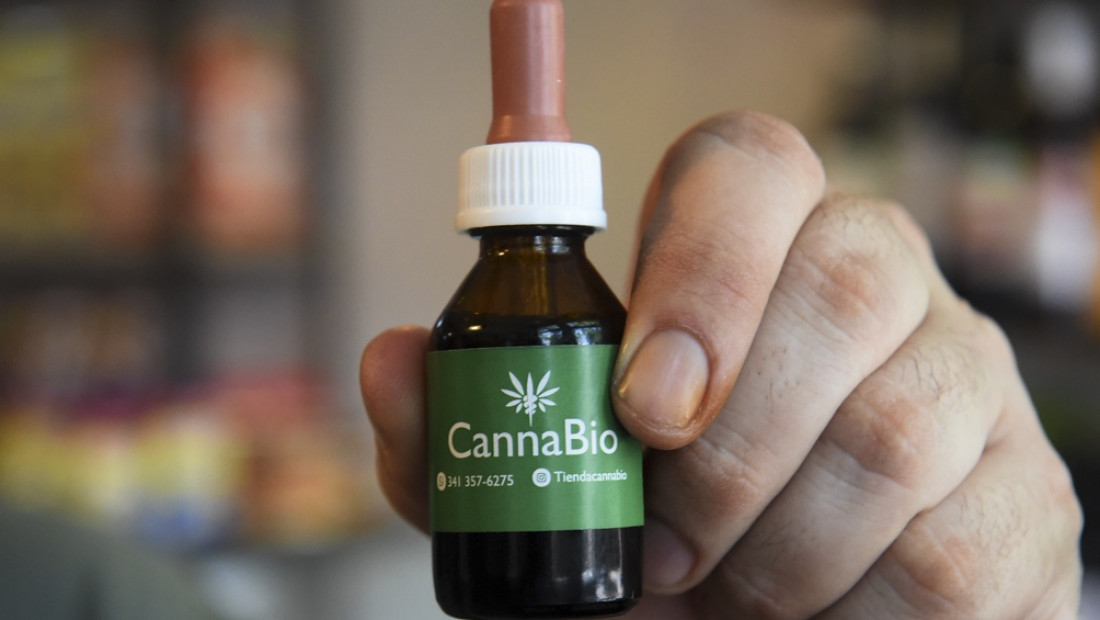 Salud amplió a tres años la autorización para cultivo del cannabis terapéutico