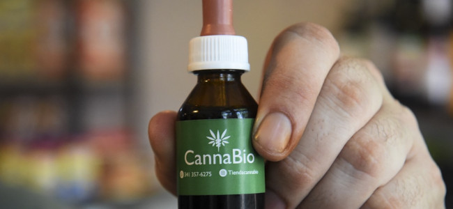 Salud amplió a tres años la autorización para cultivo del cannabis terapéutico