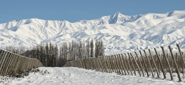 El Niño en Mendoza anticipa intensas nevadas, pero no garantiza un invierno extraordinario 