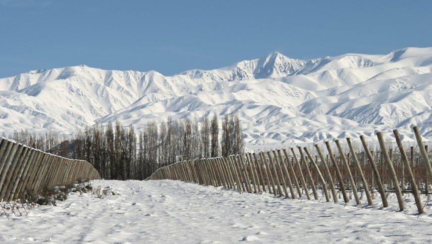 imagen que ilustra noticia El Niño en Mendoza anticipa intensas nevadas, pero no garantiza un invierno extraordinario 
