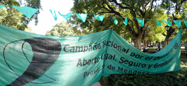 El acceso al aborto en Mendoza no está garantizado: faltan información, profesionales y equipamiento