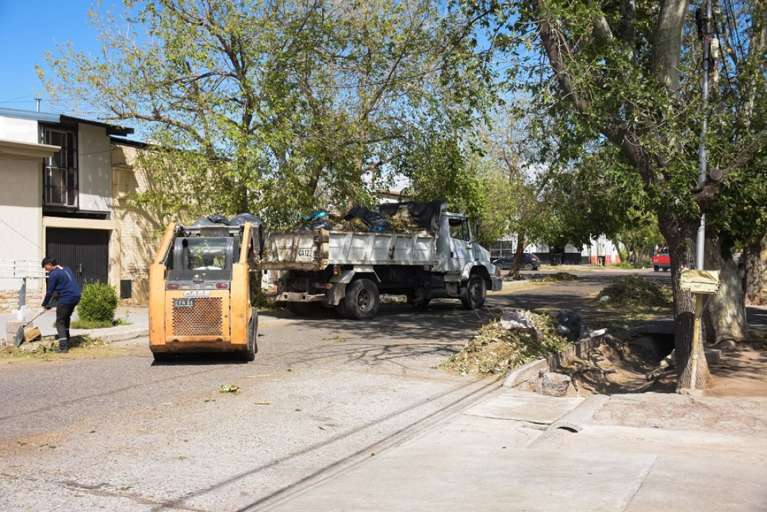 Tormenta de agua y granizo afectó cultivos y viviendas en distintas zonas de Mendoza