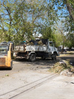 Tormenta de agua y granizo afectó cultivos y viviendas en distintas zonas de Mendoza