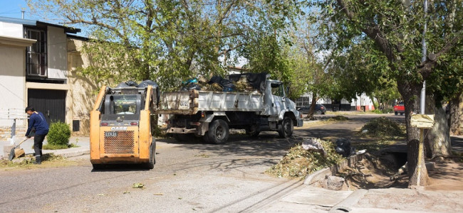 Tormenta de agua y granizo afectó cultivos y viviendas en distintas zonas de Mendoza