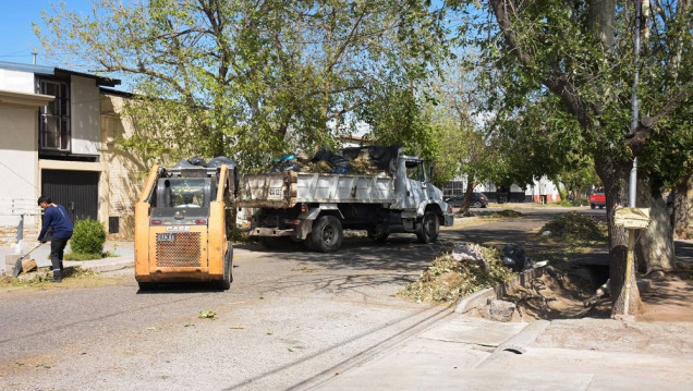 imagen Tormenta de agua y granizo afectó cultivos y viviendas en distintas zonas de Mendoza