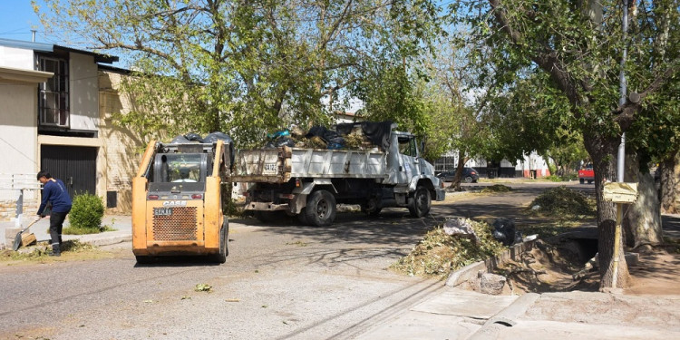 Tormenta de agua y granizo afectó cultivos y viviendas en distintas zonas de Mendoza
