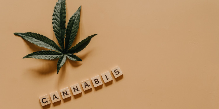 Acompañamiento para personas con fibromialgia y uso terapéutico de cannabis medicinal 