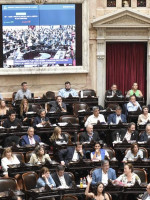 Celebraciones y rechazos tras la aprobación en general de la ley "Bases"