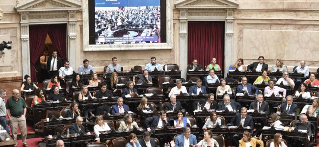 Celebraciones y rechazos tras la aprobación en general de la ley "Bases"