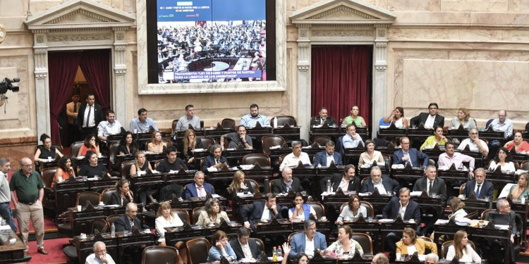 Celebraciones y rechazos tras la aprobación en general de la ley "Bases"