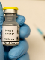 Qué se sabe sobre las vacunas contra el dengue