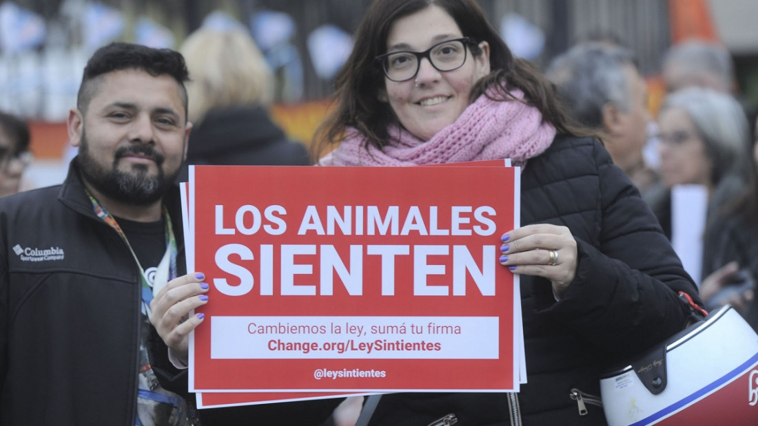 Los reclamos para proteger animales están entre los que más firmas reúnen en Change.org