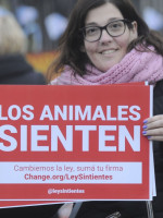 Los reclamos para proteger animales están entre los que más firmas reúnen en Change.org