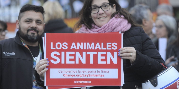 Los reclamos para proteger animales están entre los que más firmas reúnen en Change.org